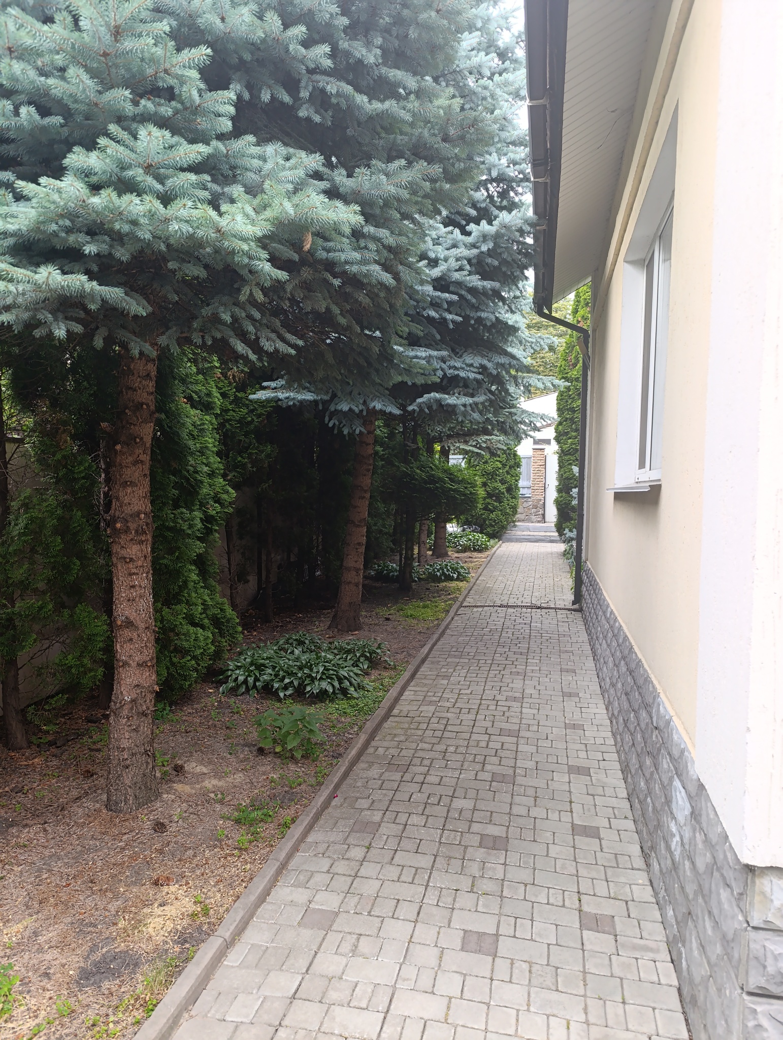 Оренда будинку 250 м², Теремківський пров.