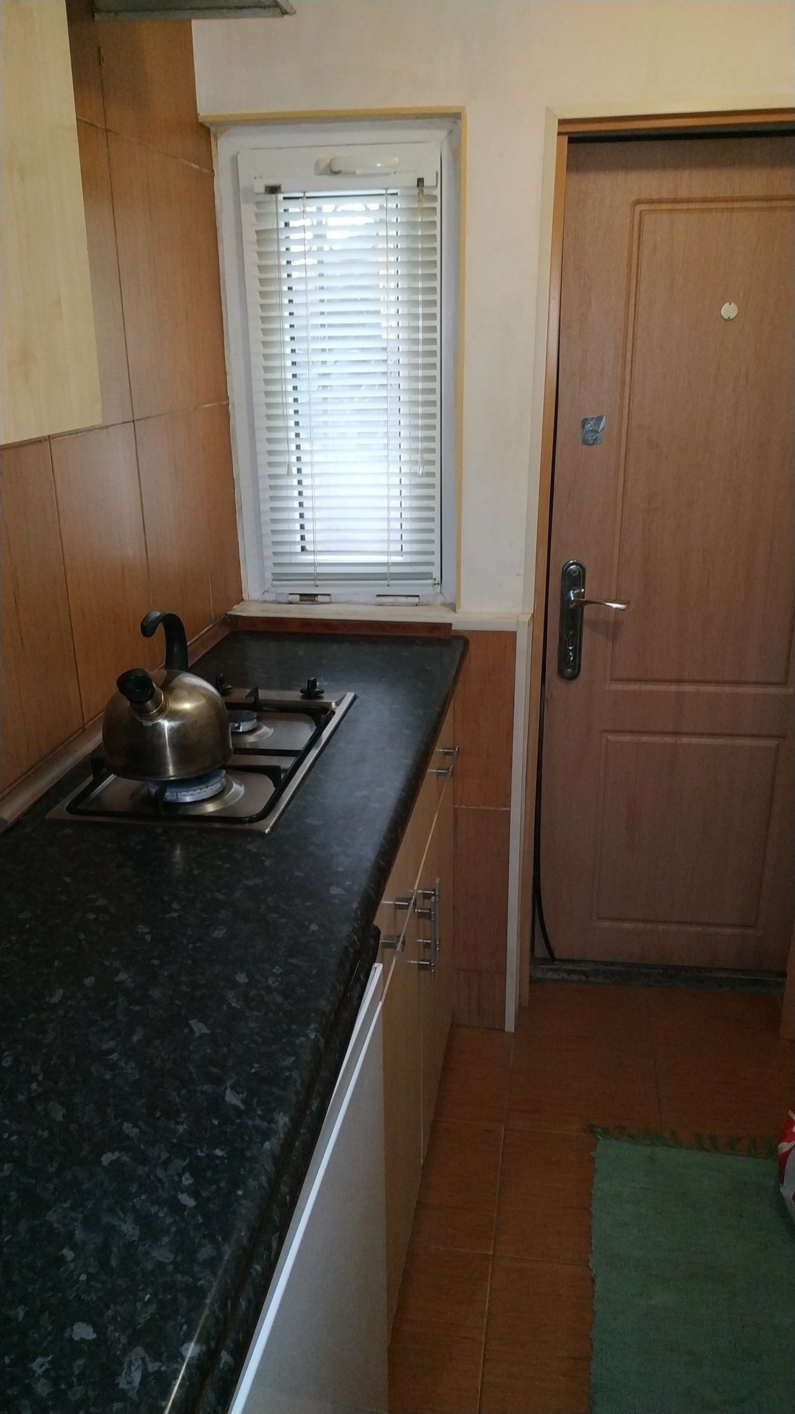 1-комнатная квартира посуточно 20 м², Екатерининская ул., 74