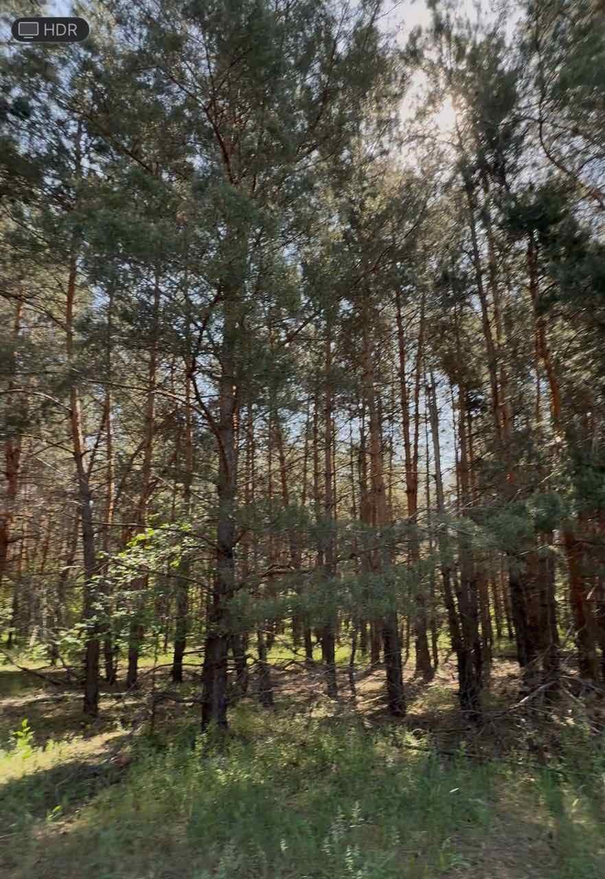 Продаж ділянки під інвестиційний проєкт 2012 соток
