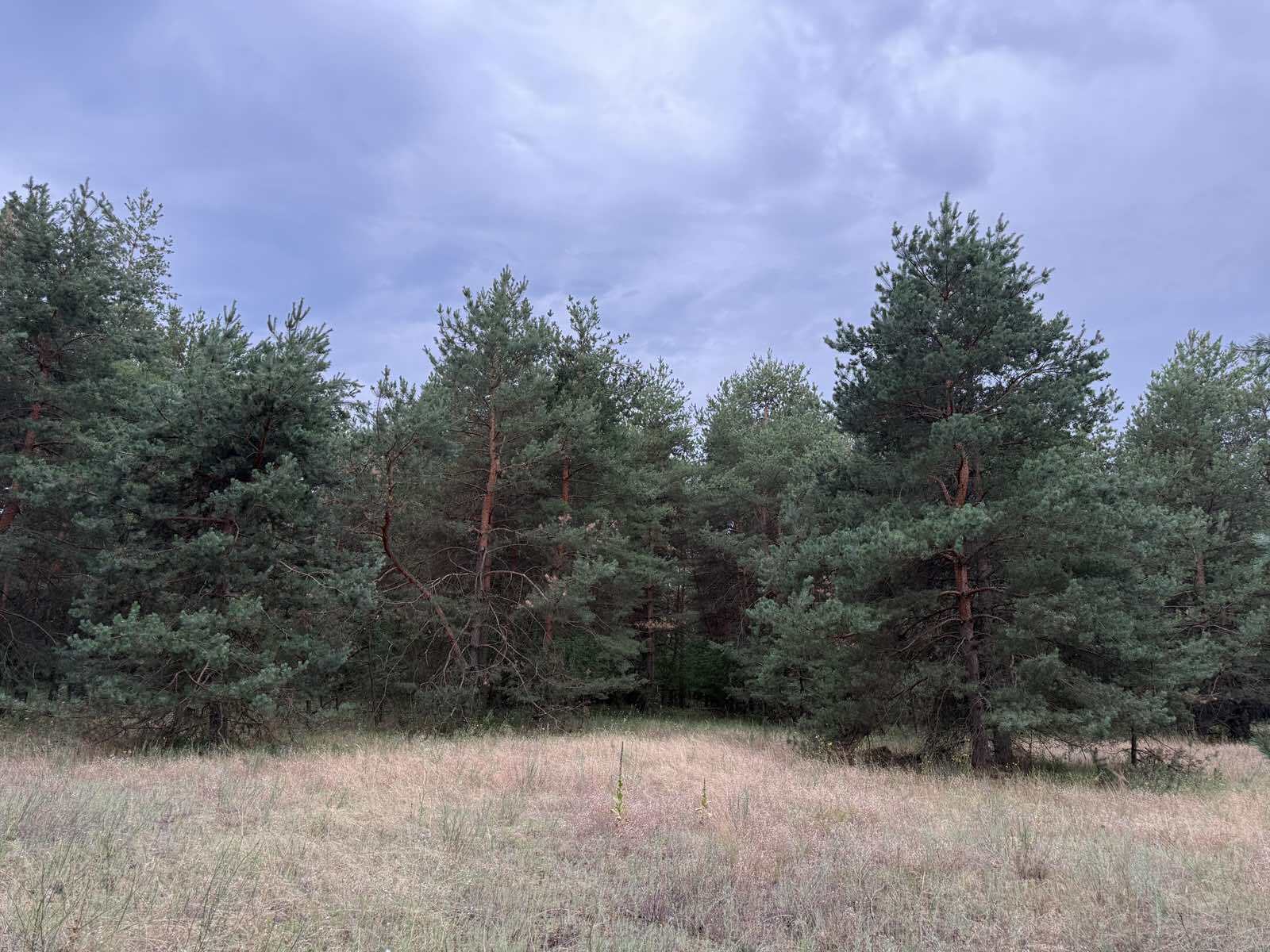 Продаж ділянки під інвестиційний проєкт 2012 соток