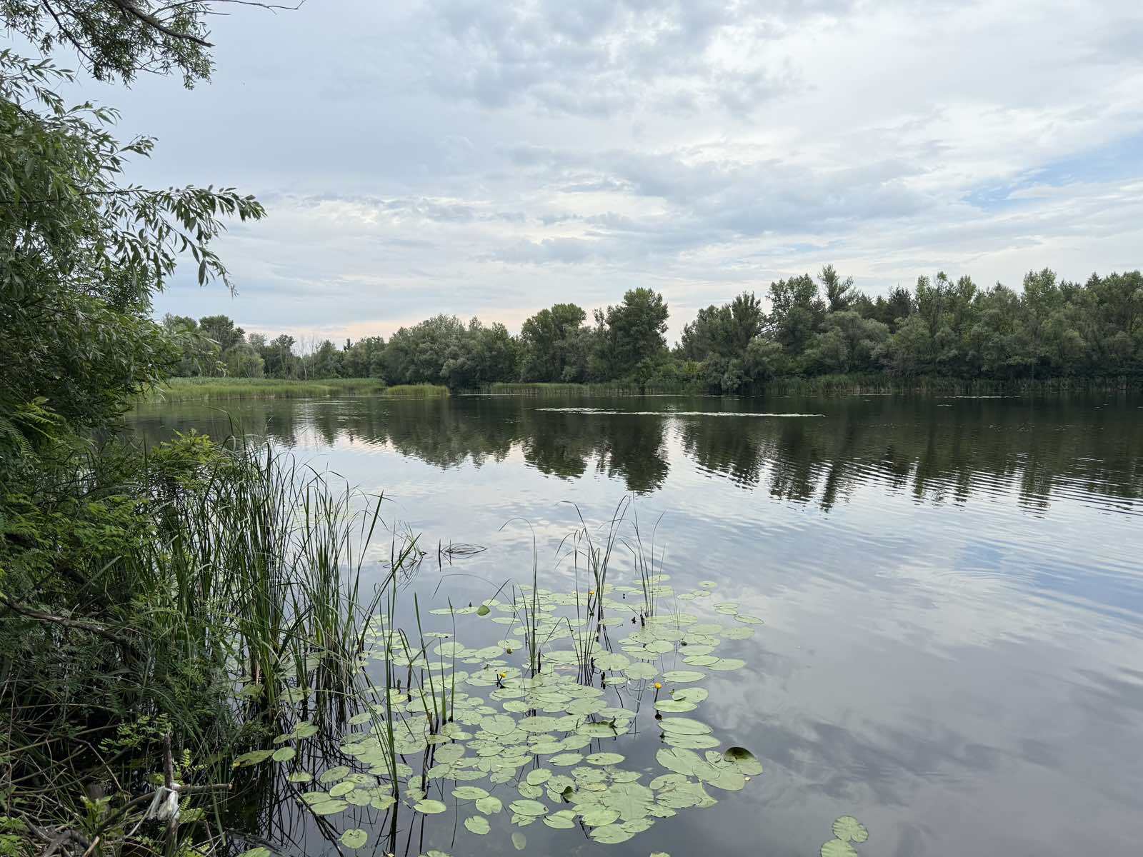 Продаж ділянки під інвестиційний проєкт 2012 соток