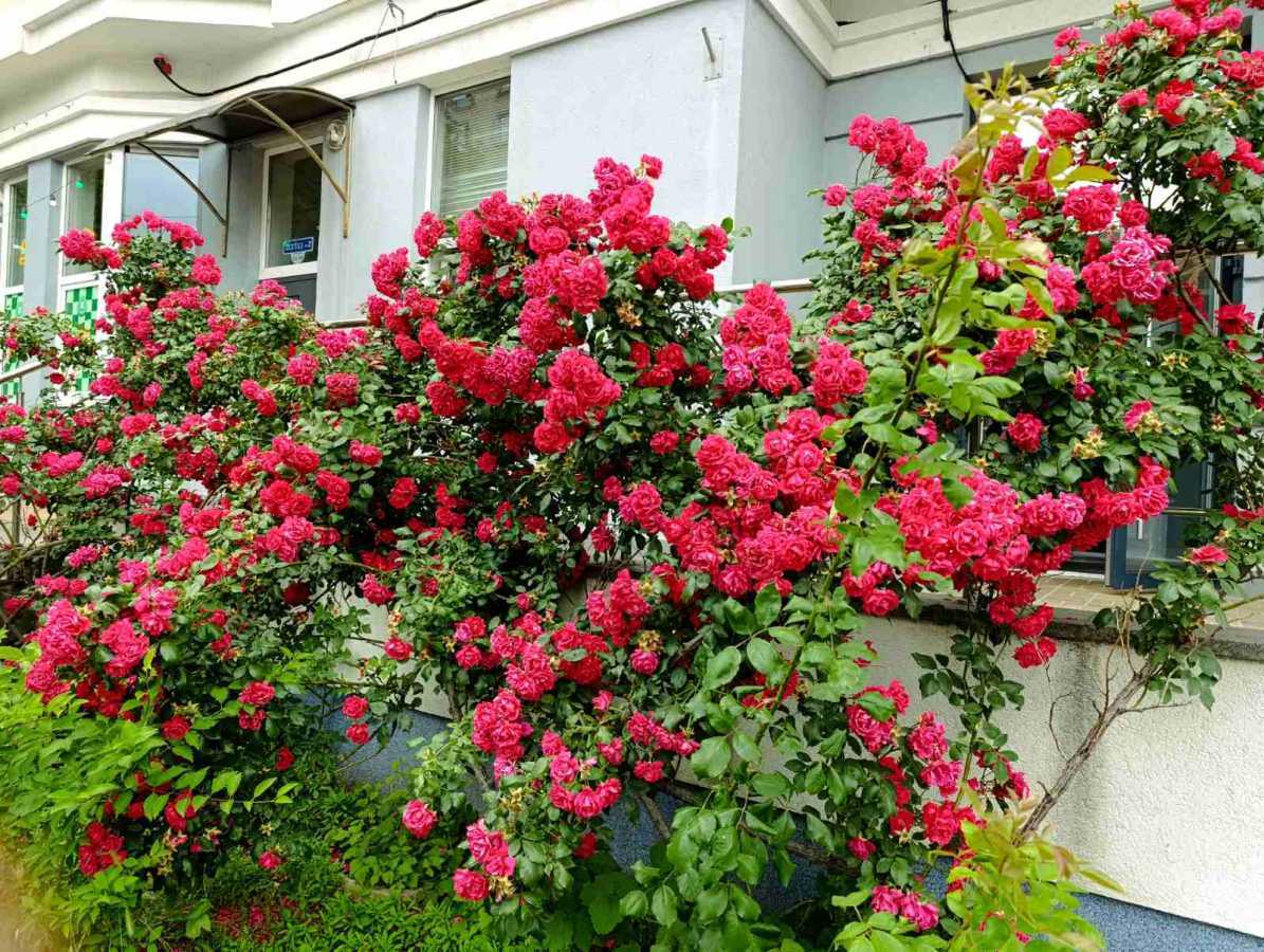 Продажа 3-комнатной квартиры 134 м², Николая Голего ул., 7