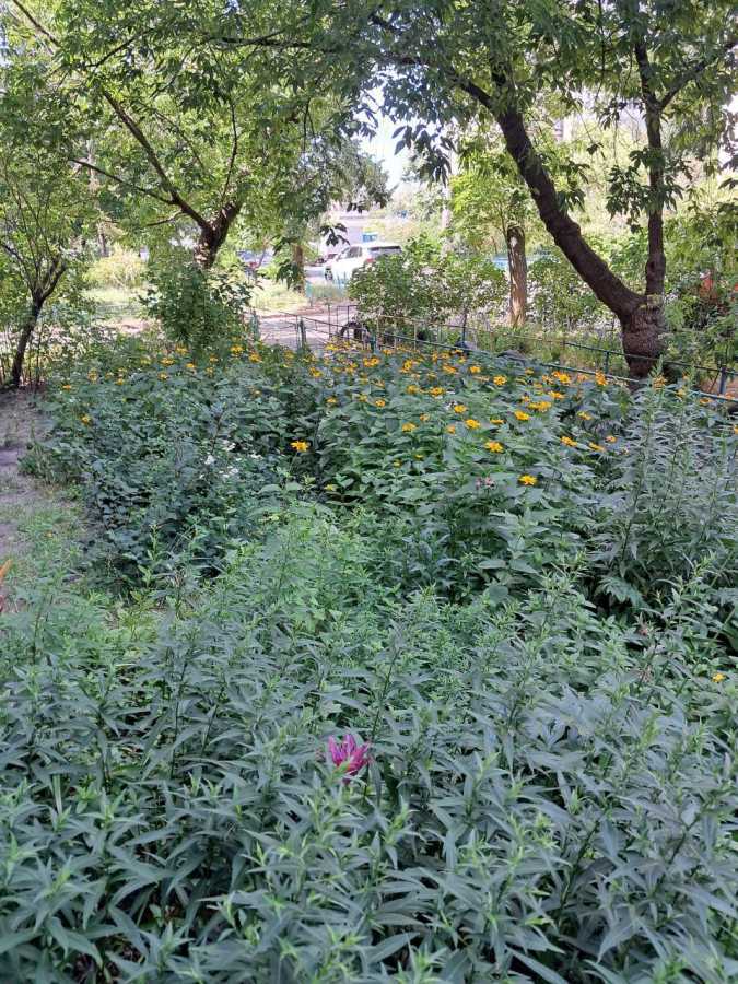 Оренда 2-кімнатної квартири 50 м², Зої Гайдай вул., 7