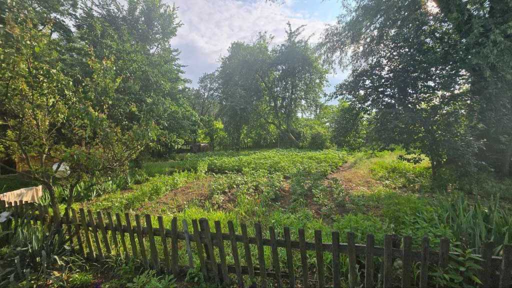 Продаж будинку 52.1 м², Погреби