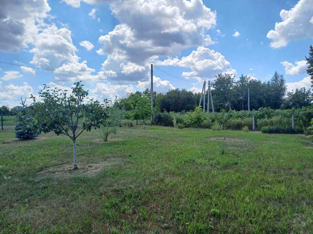 Продаж будинку 113 м², Погреби
