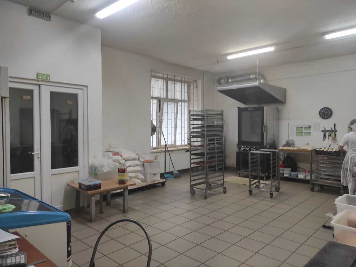 Оренда виробничого приміщення 45 м², Володимира Великого вул., 1