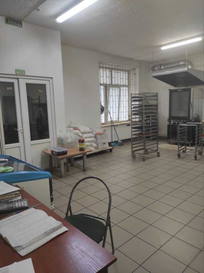 Оренда виробничого приміщення 45 м², Володимира Великого вул., 1