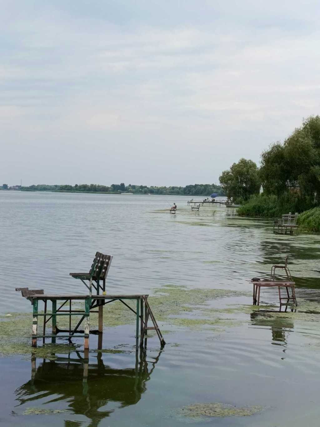 Продажа дачи 78 м², СТ Прогрес, 14