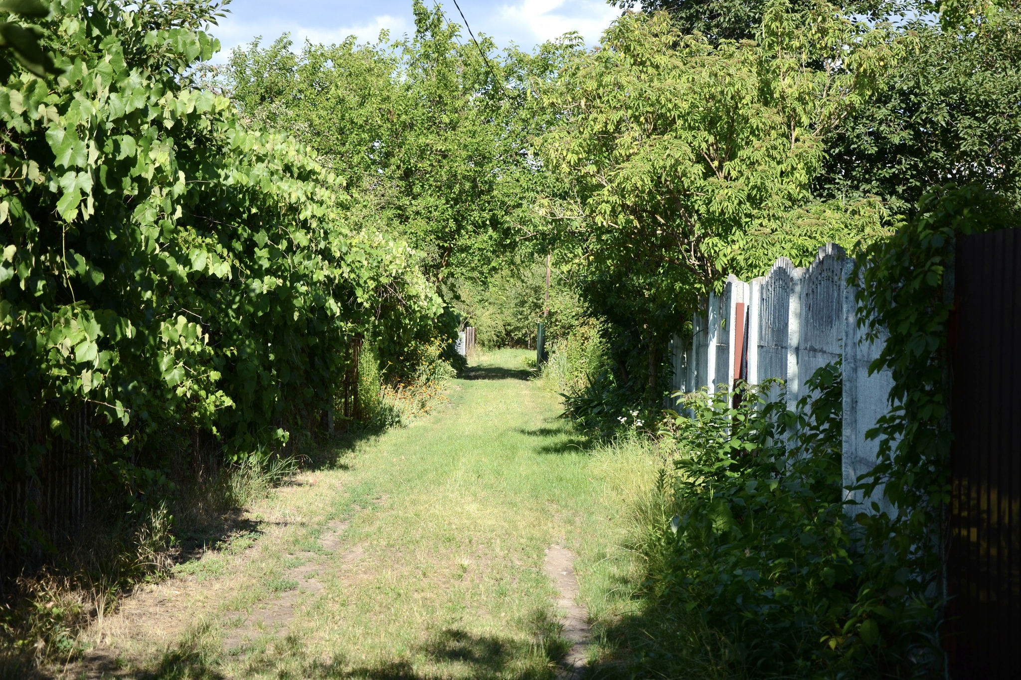 Продаж дачі 600 м², Таромська вул.