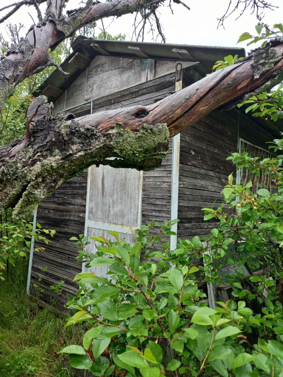Продажа дачного участка 5.3 соток