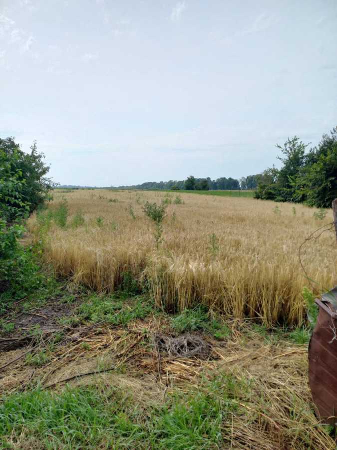 Продажа дома 82.7 м², нова