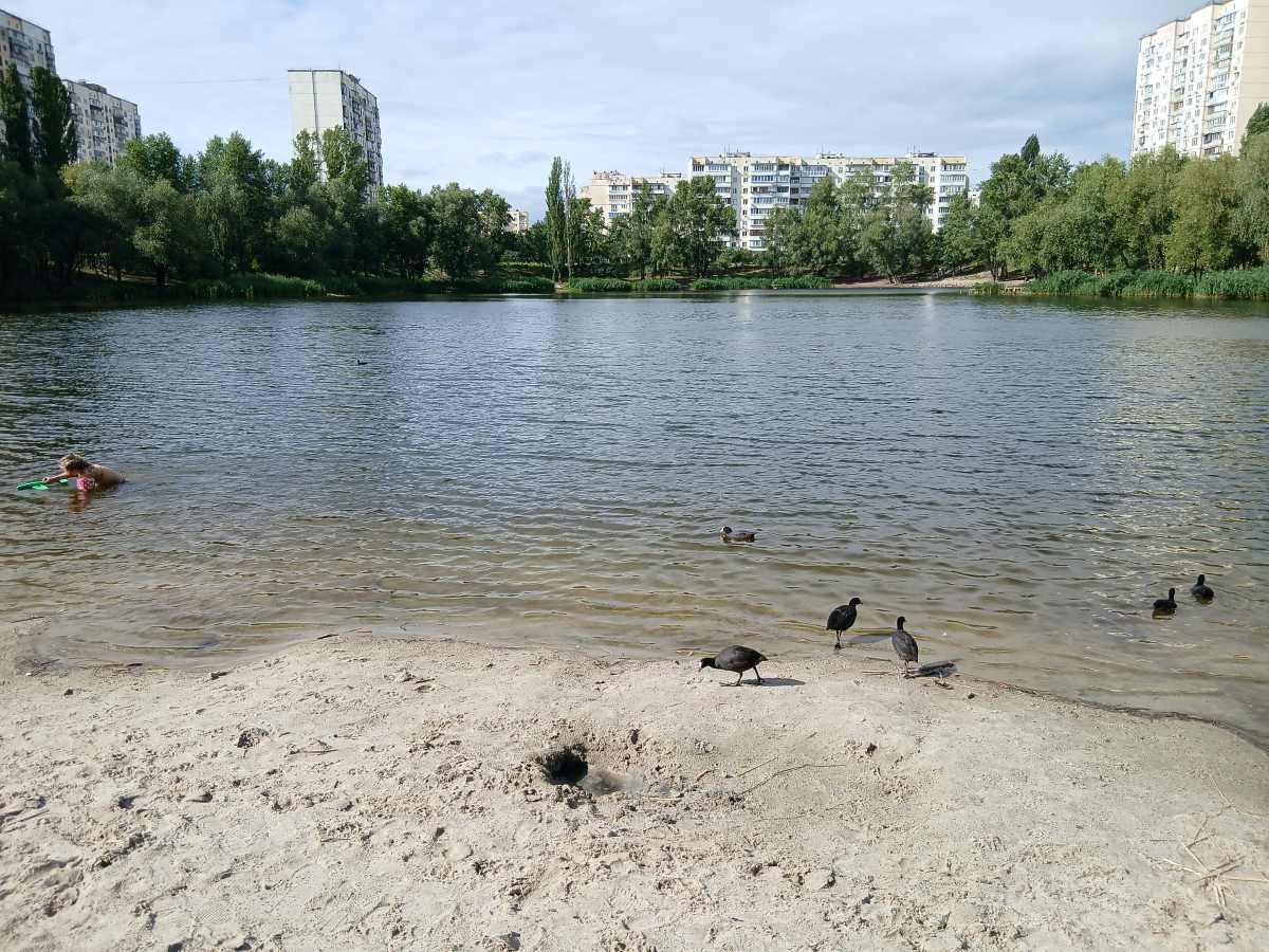 Аренда 3-комнатной квартиры 70 м², Оболонский просп., 36