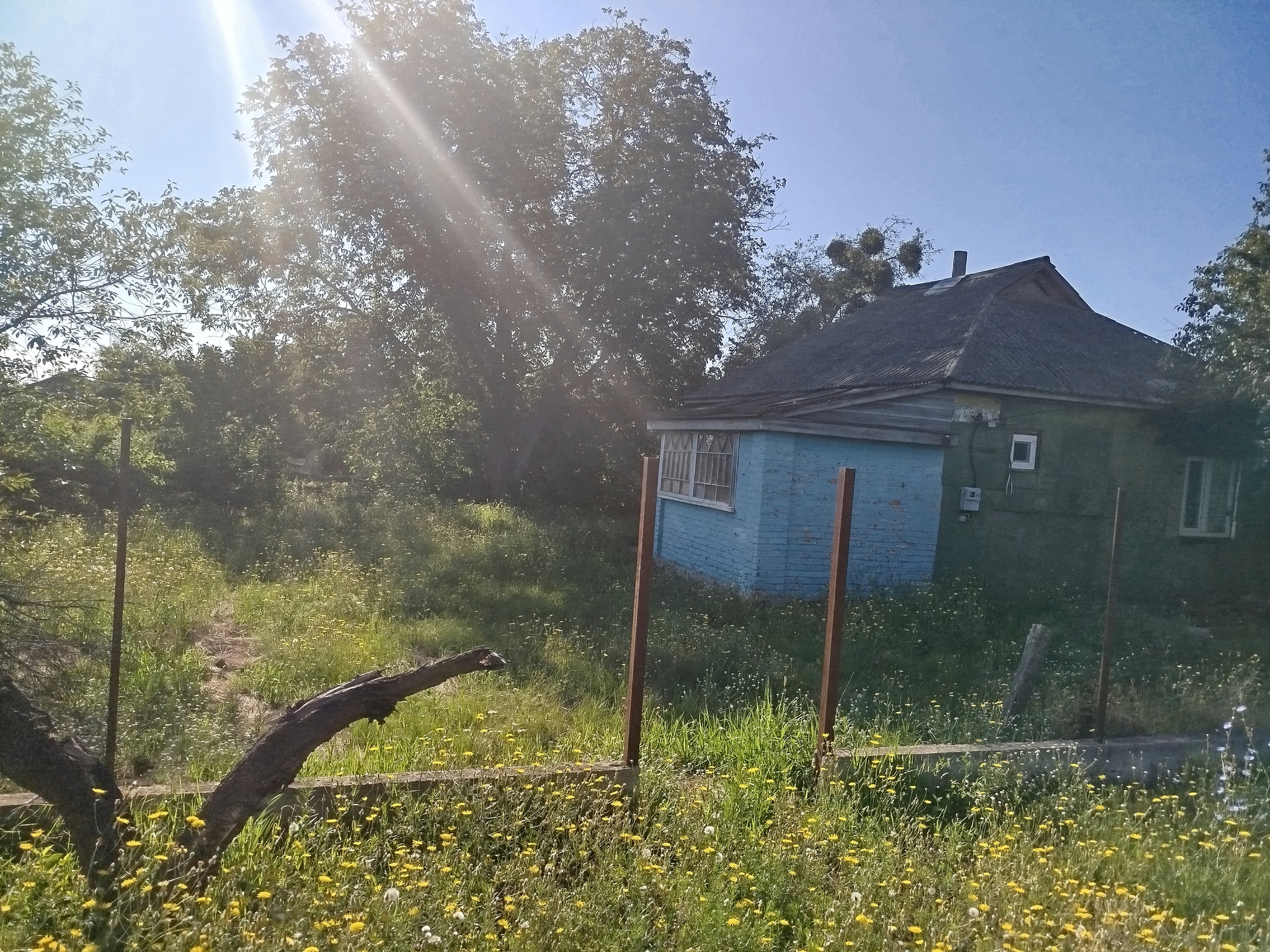 Продажа дома 56 м², Переяслав,вул.Каштанна