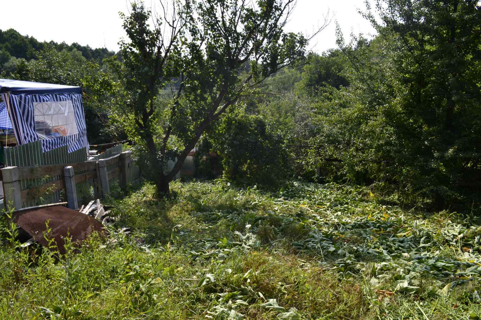 Продажа дачного участка 6 соток