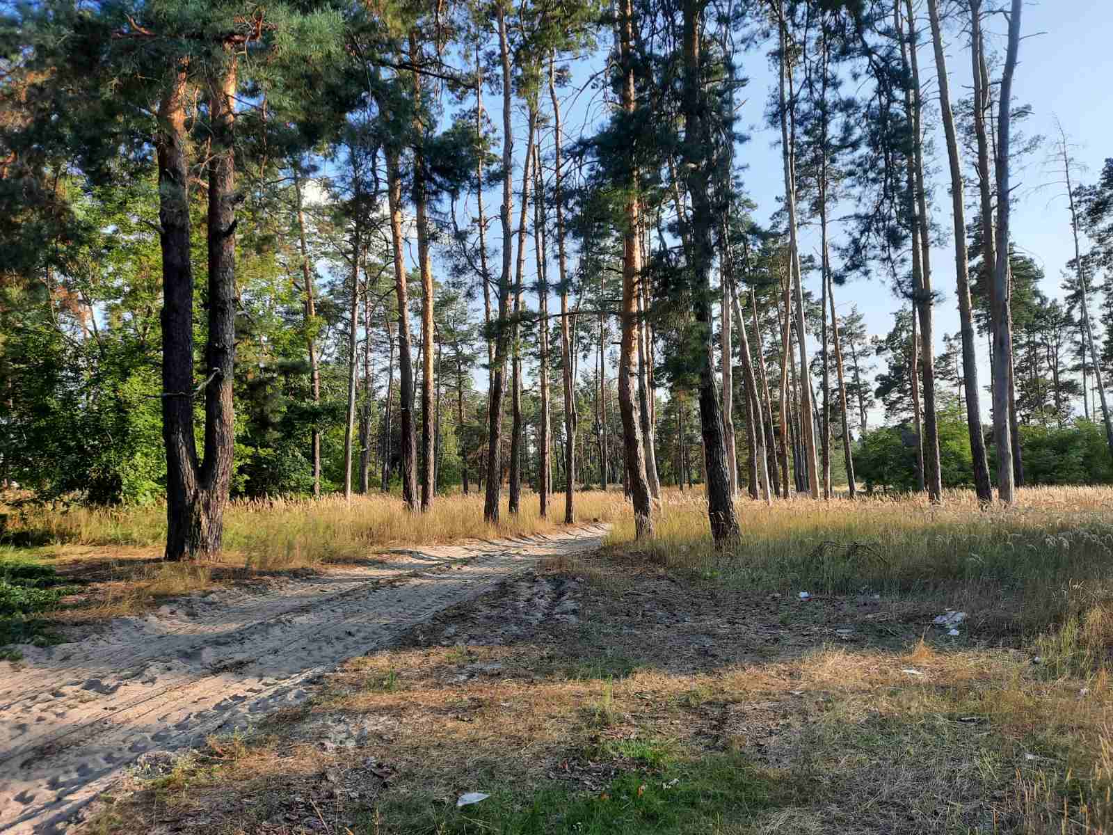 Продаж ділянки під рослинництво 20 соток