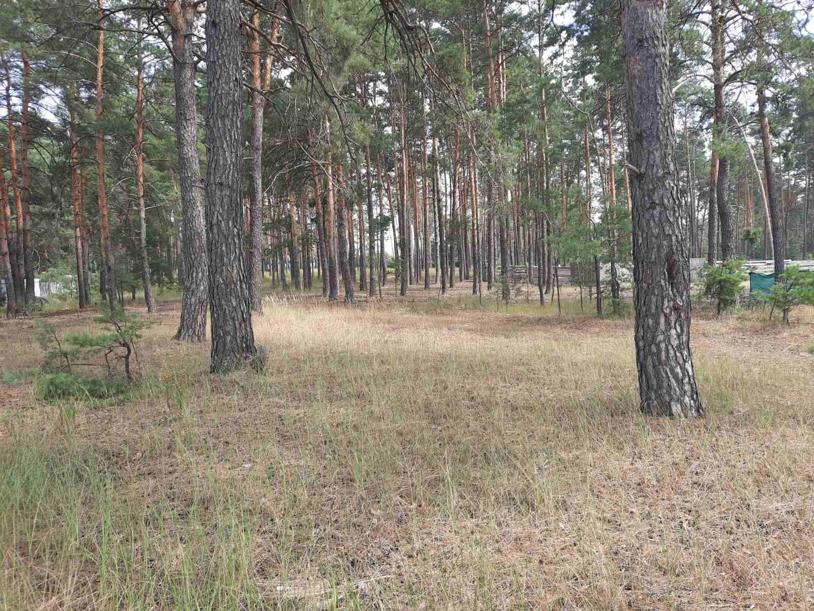 Продаж ділянки під рослинництво 20 соток