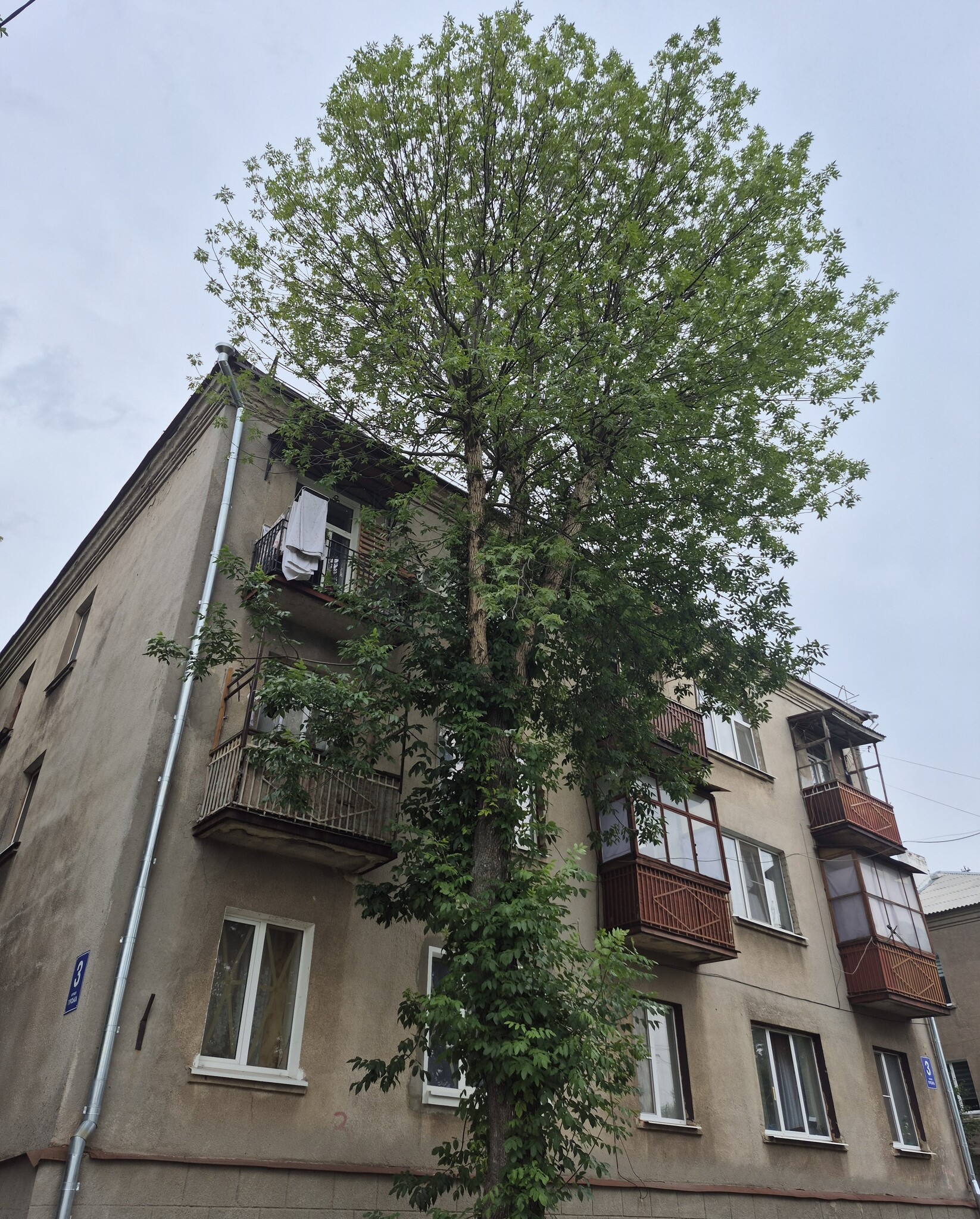 Продам 3кв район Лиса гора Вулиця Гірська , 3
