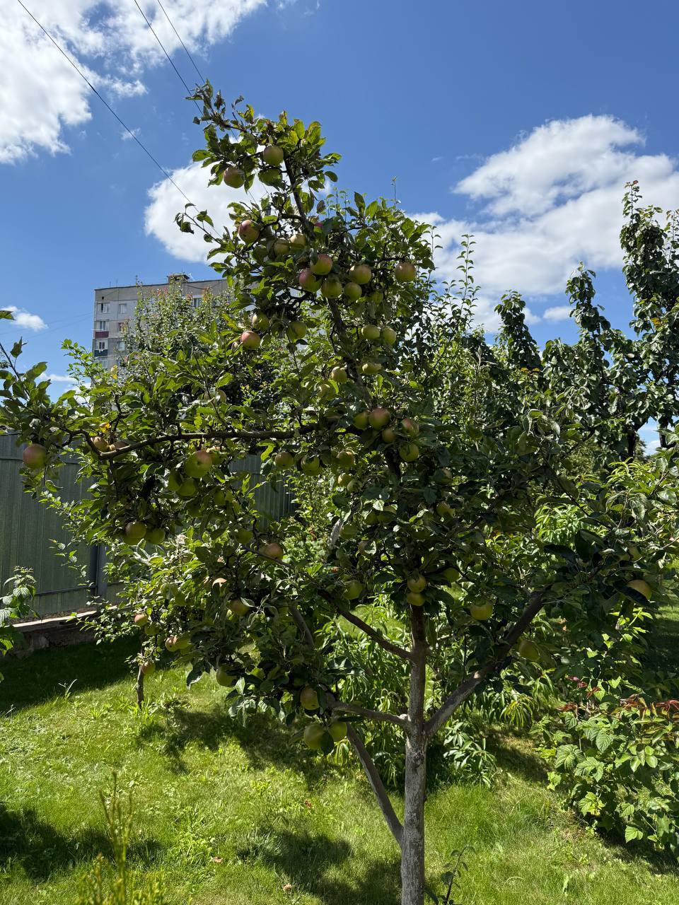 Продаж будинку 99.7 м², Семибратова