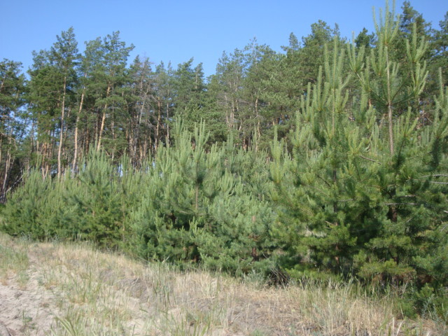 Продажа 1-комнатной квартиры 37 м²