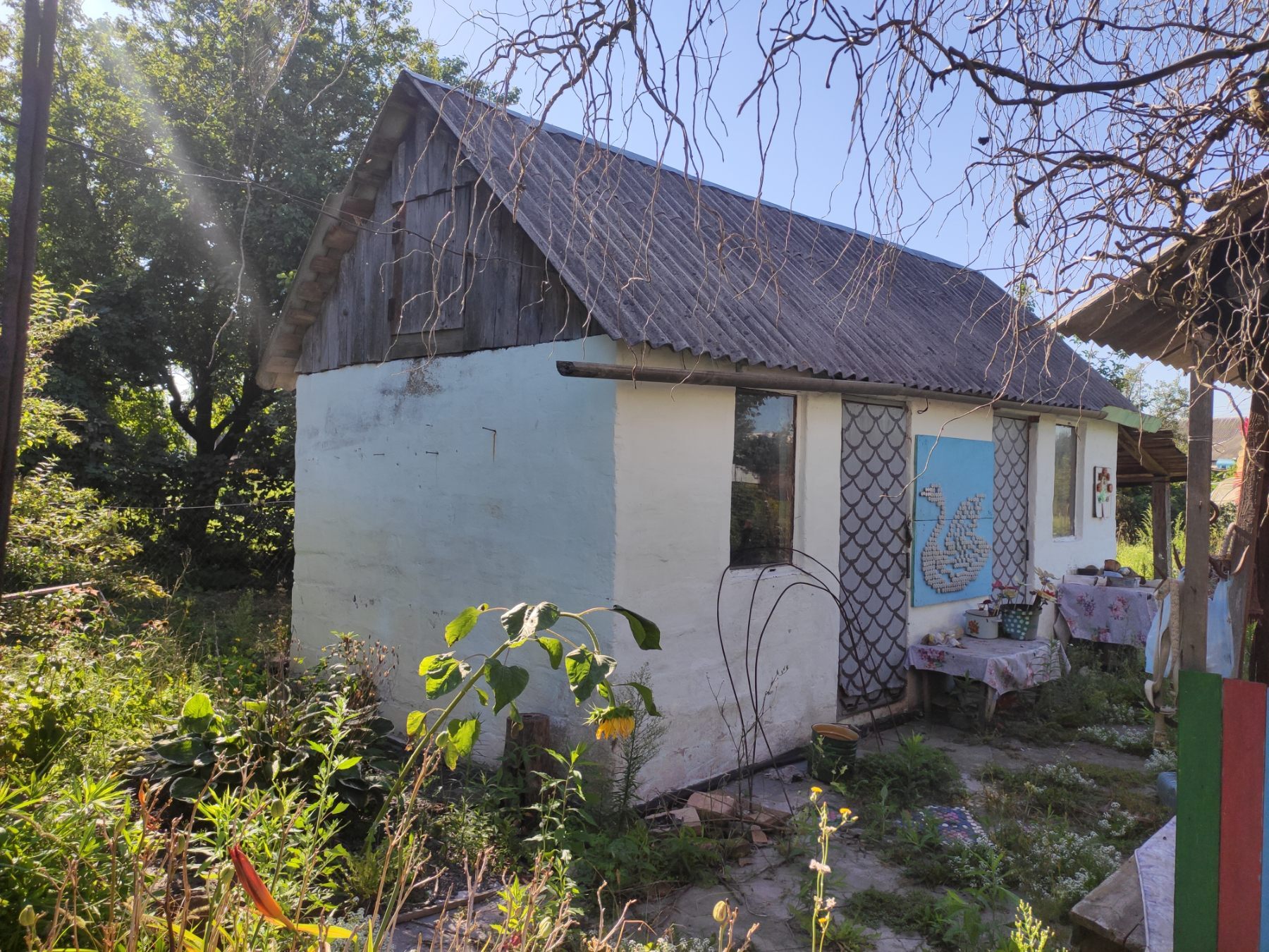 м. Бориспіль, вул. Січових Стрільців (Фрунзе) 16,6 сот