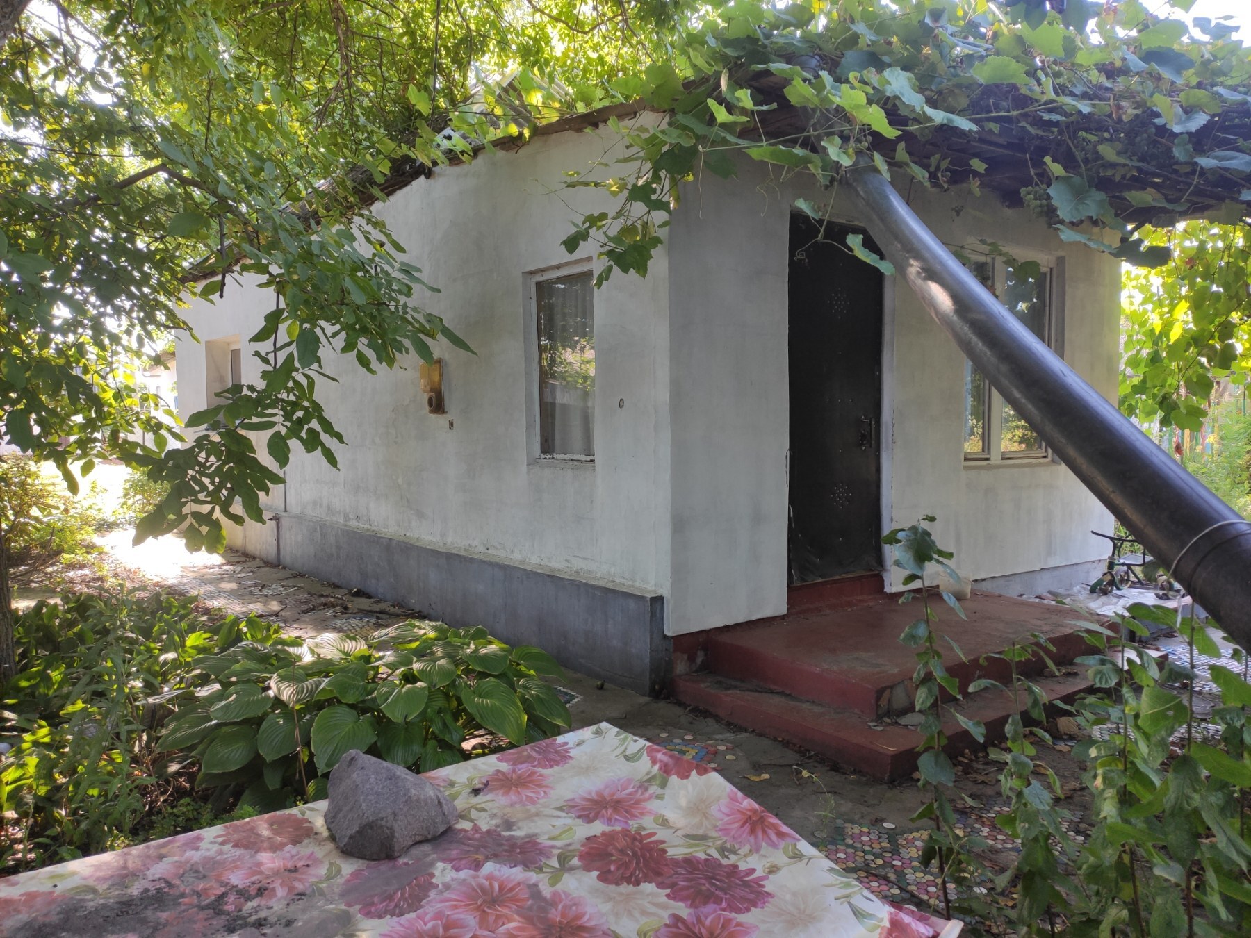 м. Бориспіль, вул. Січових Стрільців (Фрунзе) 16,6 сот