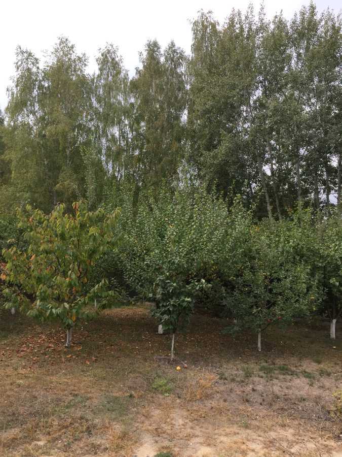Продажа участка под индивидуальное жилое строительство 50 соток, Полевая ул.