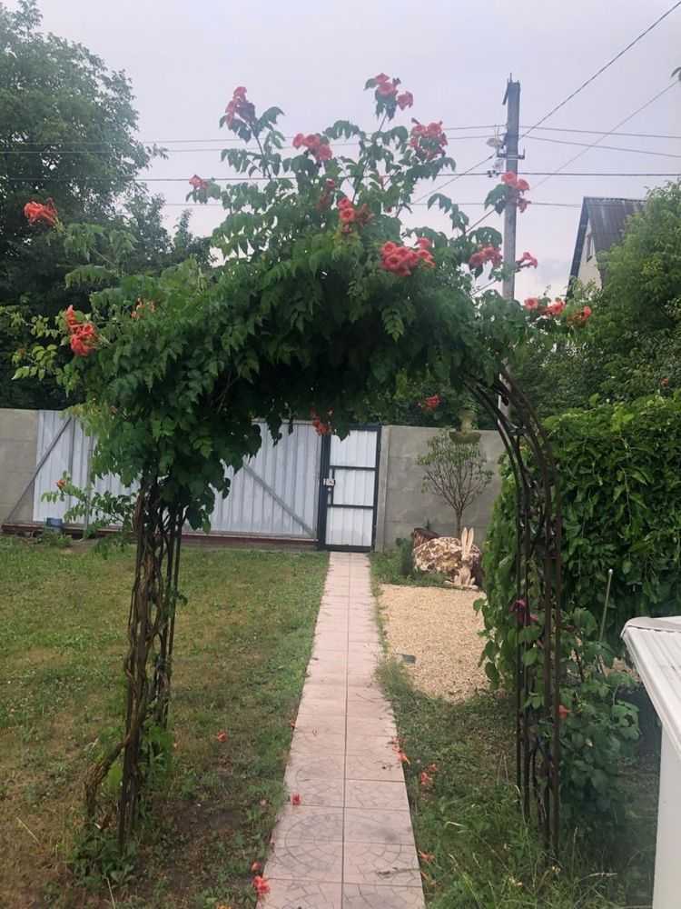 Продаж дачі 44 м², СТ Волга