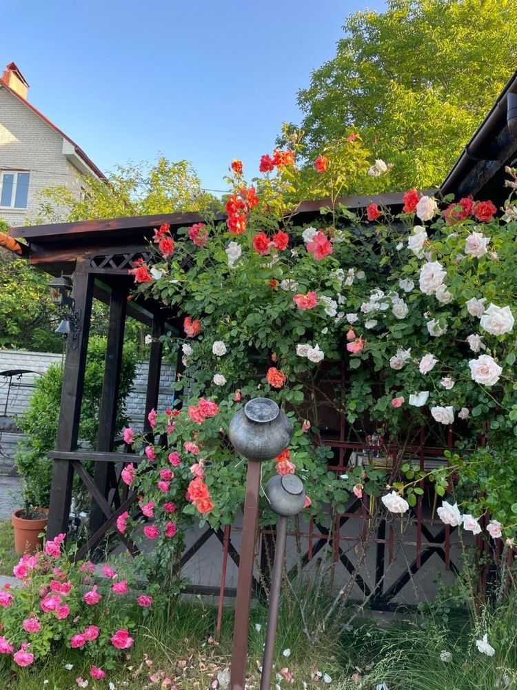 Продаж дачі 44 м², СТ Волга