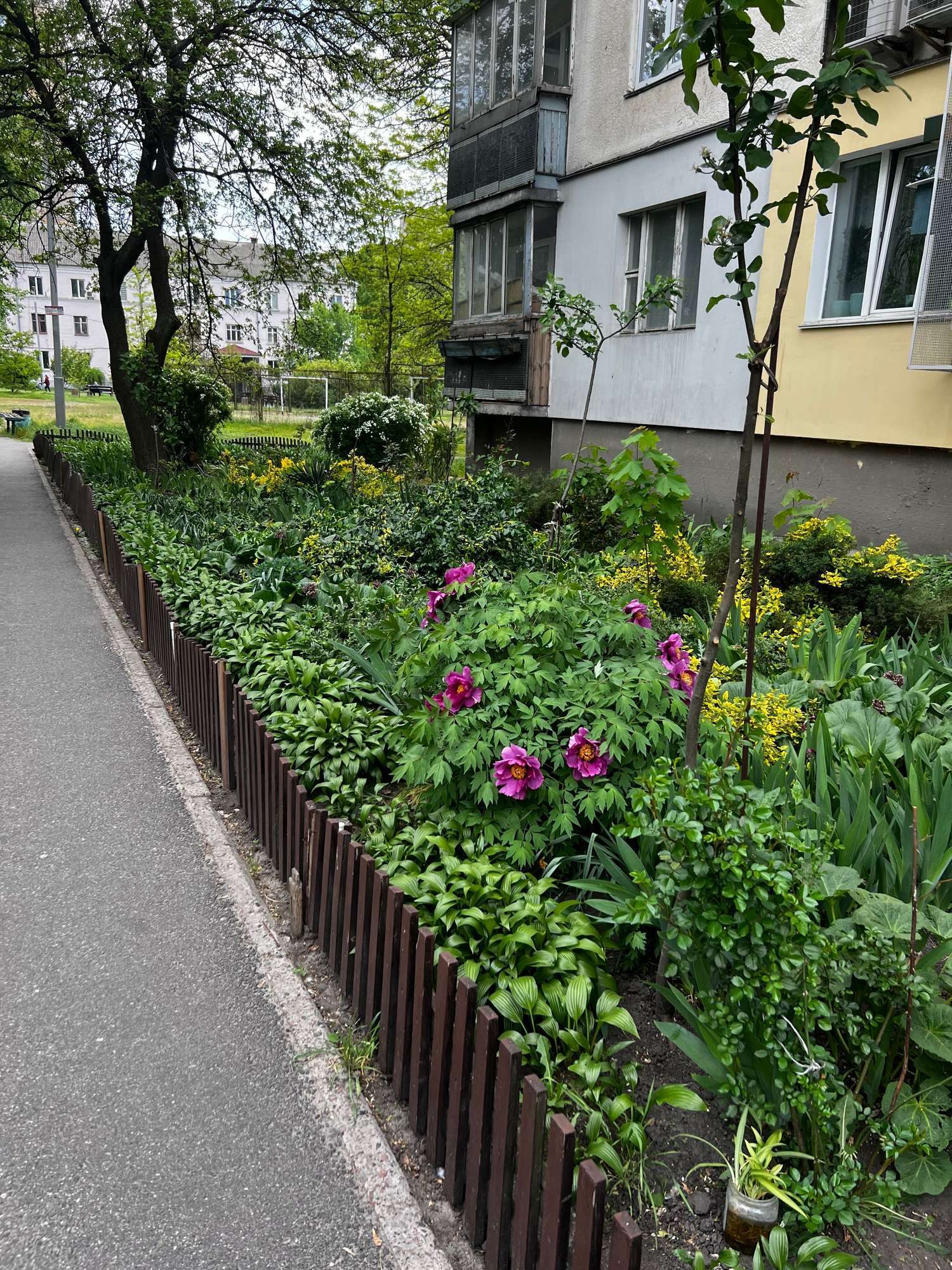 Продаж 1-кімнатної квартири 35 м², Пантелеймона Куліша вул., 15