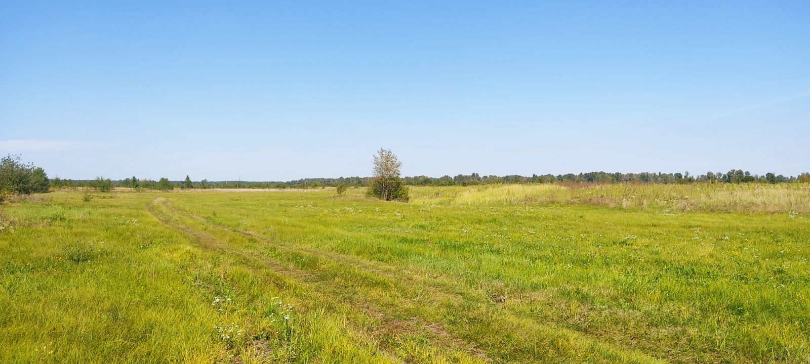 Продажа участка для растениеводства 7 соток