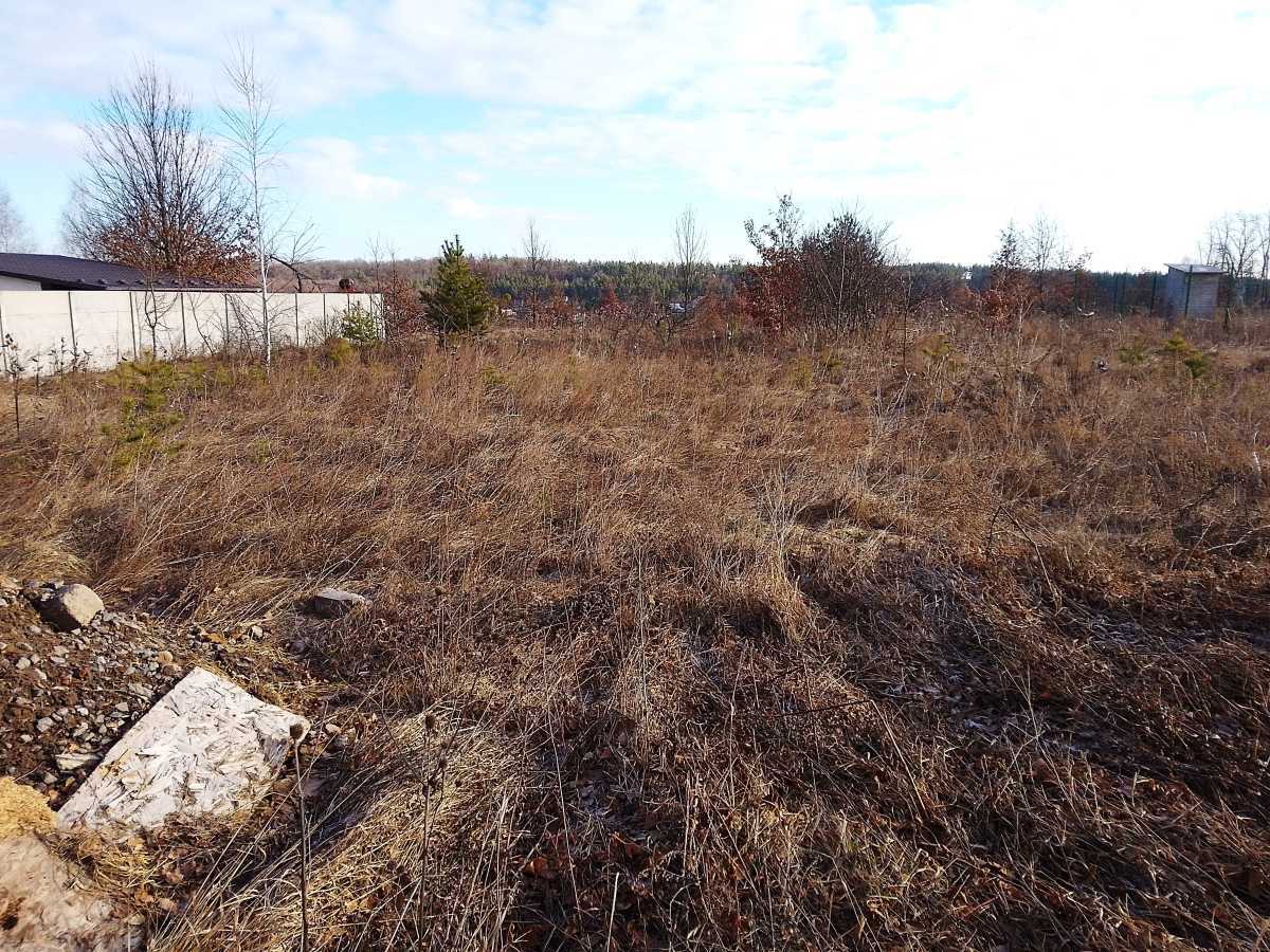 Продажа участка для личного сельского хозяйства 10 соток, Живописний