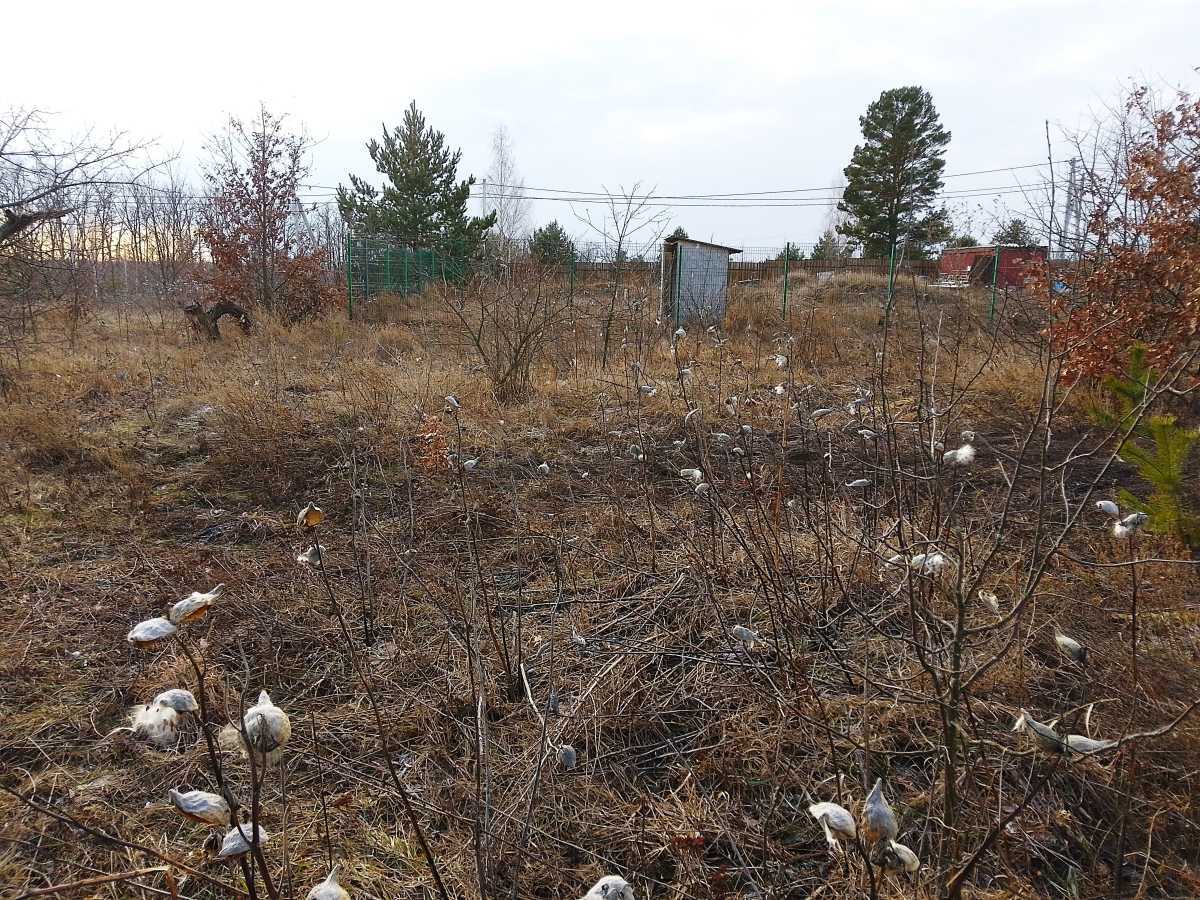 Продажа участка для личного сельского хозяйства 10 соток, Живописний