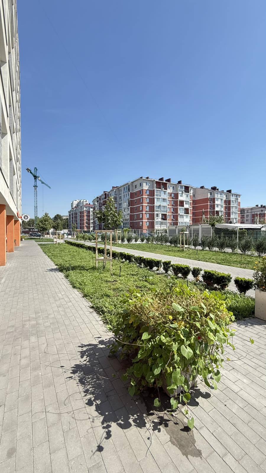 Продаж 1-кімнатної квартири 40 м², Січеславська вул.