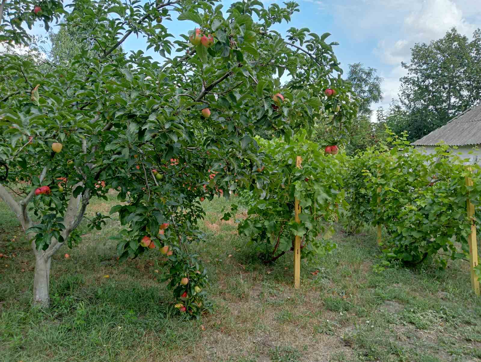 Продаж будинку 100 м²