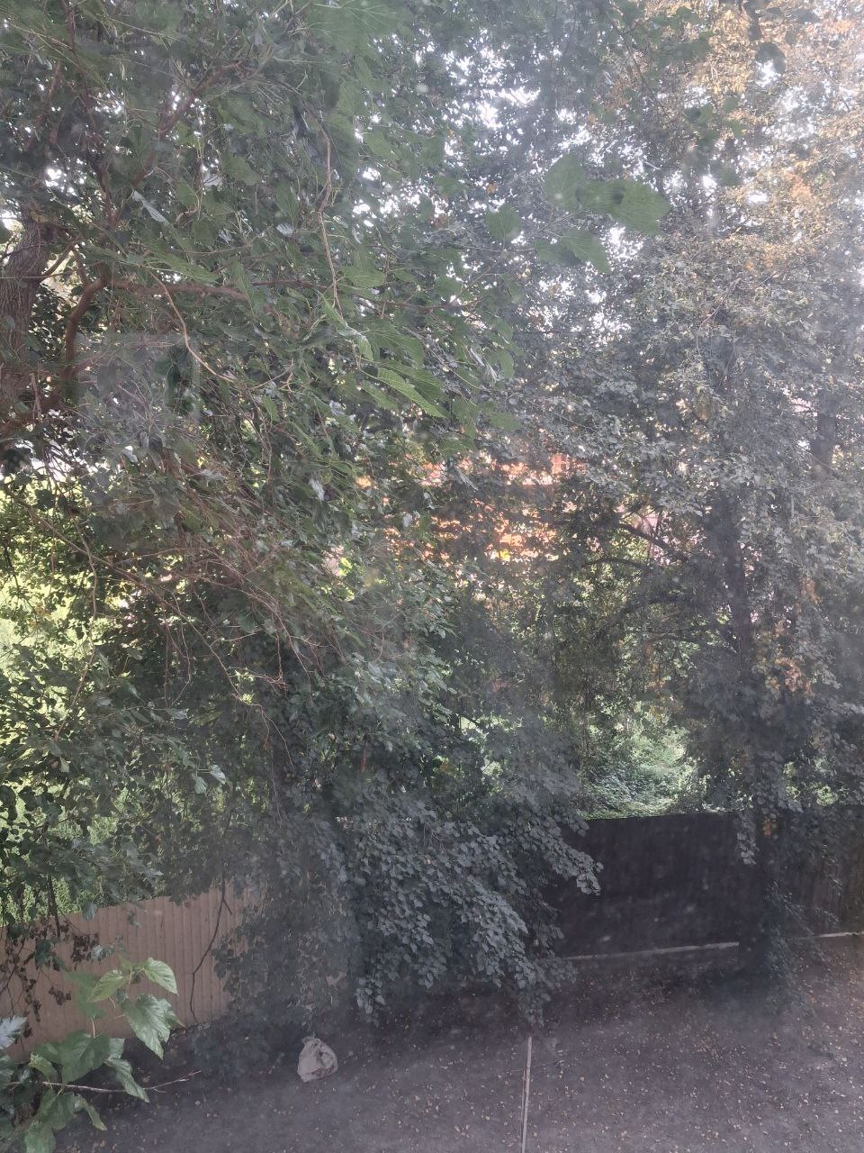 Аренда 2-комнатной квартиры 51 м², Михайловская ул., 20Б