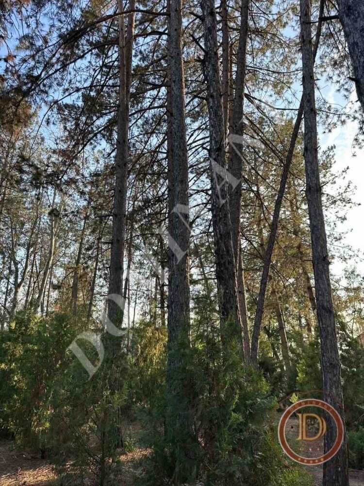 Продажа дачи 80 м², Водогрейная