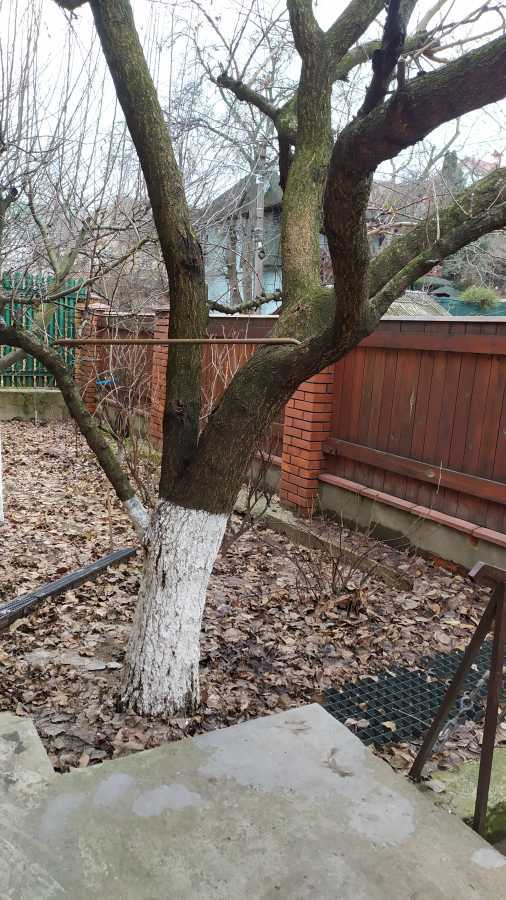 Оренда будинку 60 м², Гвардійська вул., 35