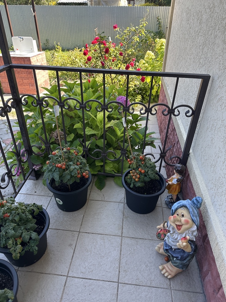Продажа дома 110 м², Локомотивна, 12