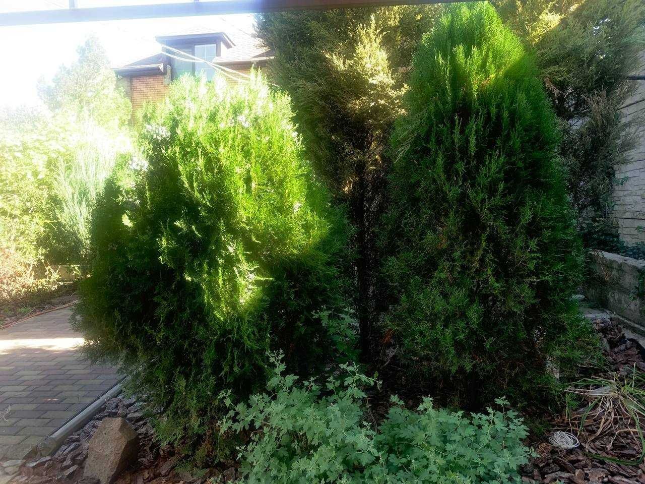 Продаж будинку 200 м², Каверіна вул.