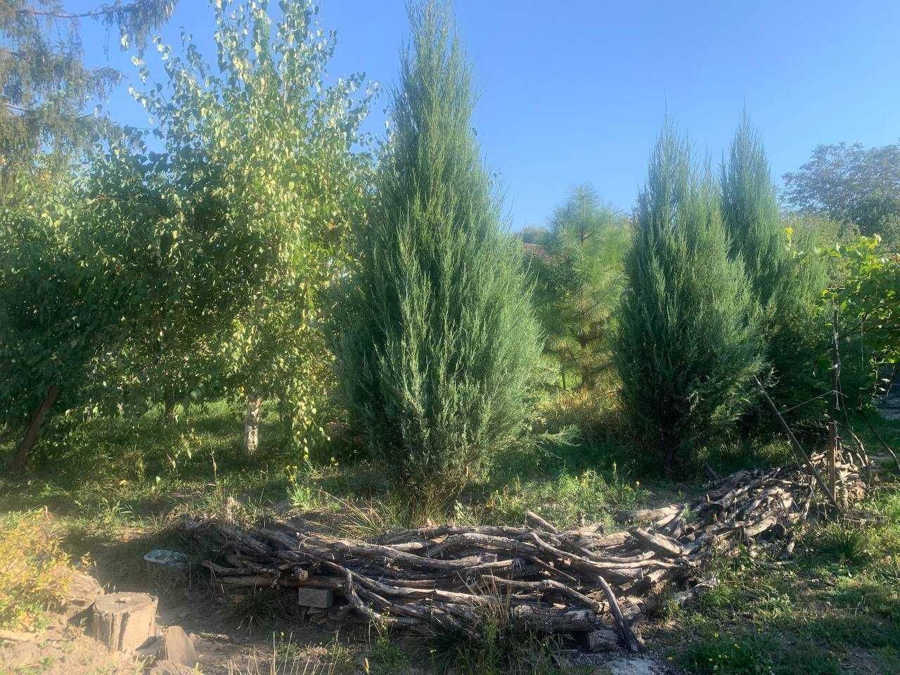 Продаж будинку 200 м², Каверіна вул.