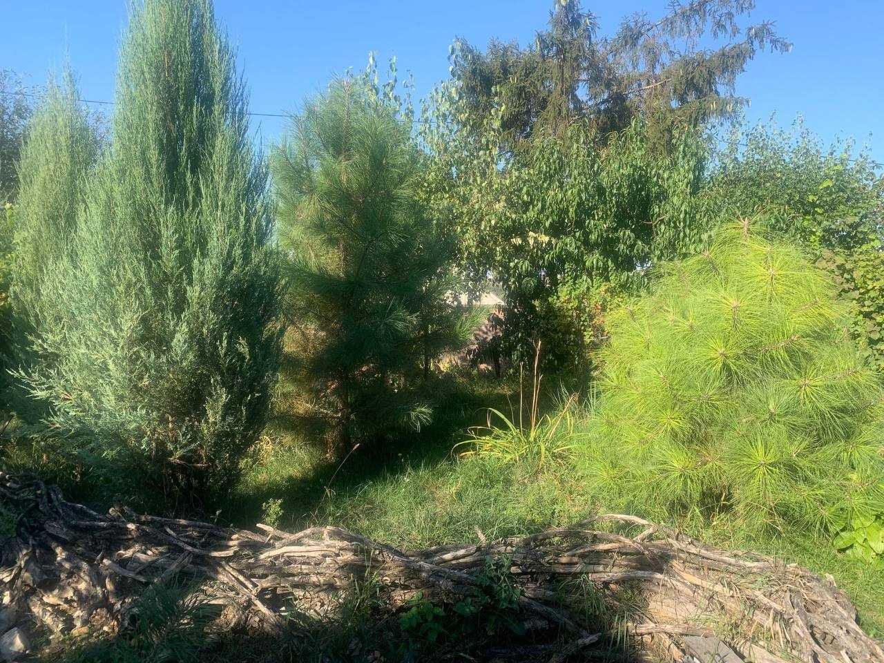 Продаж будинку 200 м², Каверіна вул.