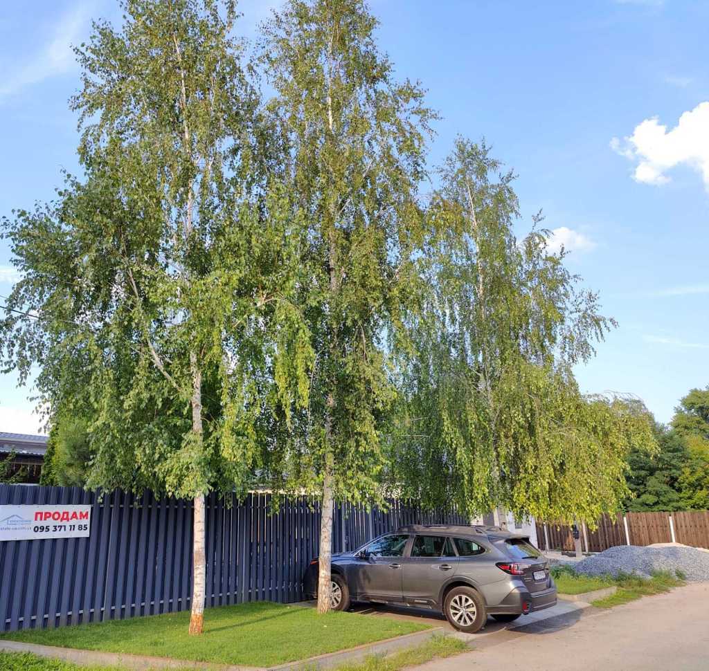 Продажа дома 129 м², Авиаиаторів, 499