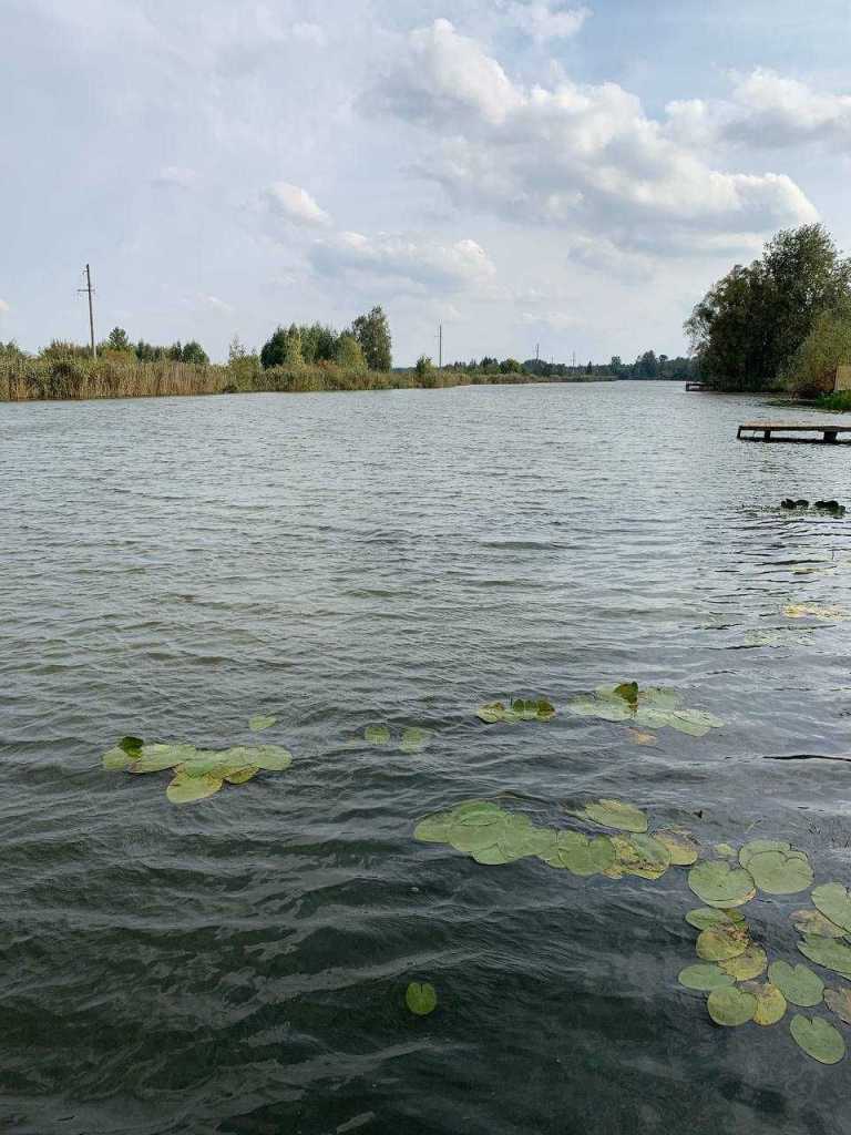 Продаж котеджу 585 м², Центральна вул.