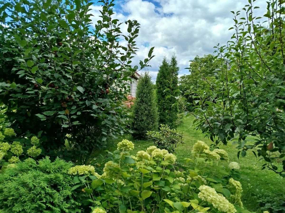 Продаж будинку 278 м², Лесі Українки, 56
