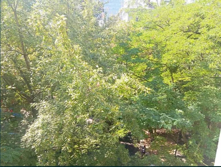 Продаж квартири з вільним плануванням 96 м², Дарвіна вул., 10