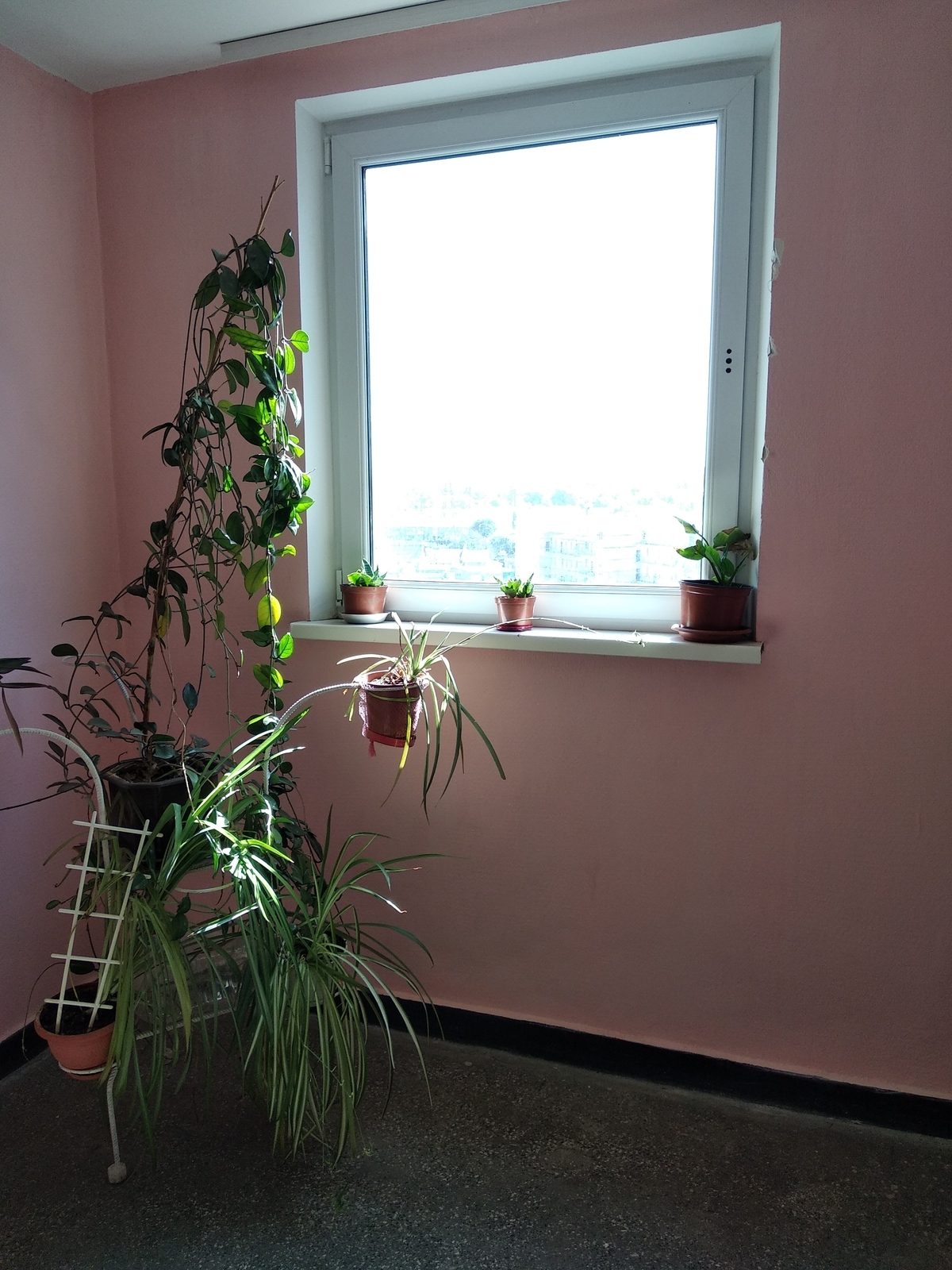 Продажа 3-комнатной квартиры 72 м², Бугаевская ул., 46/6