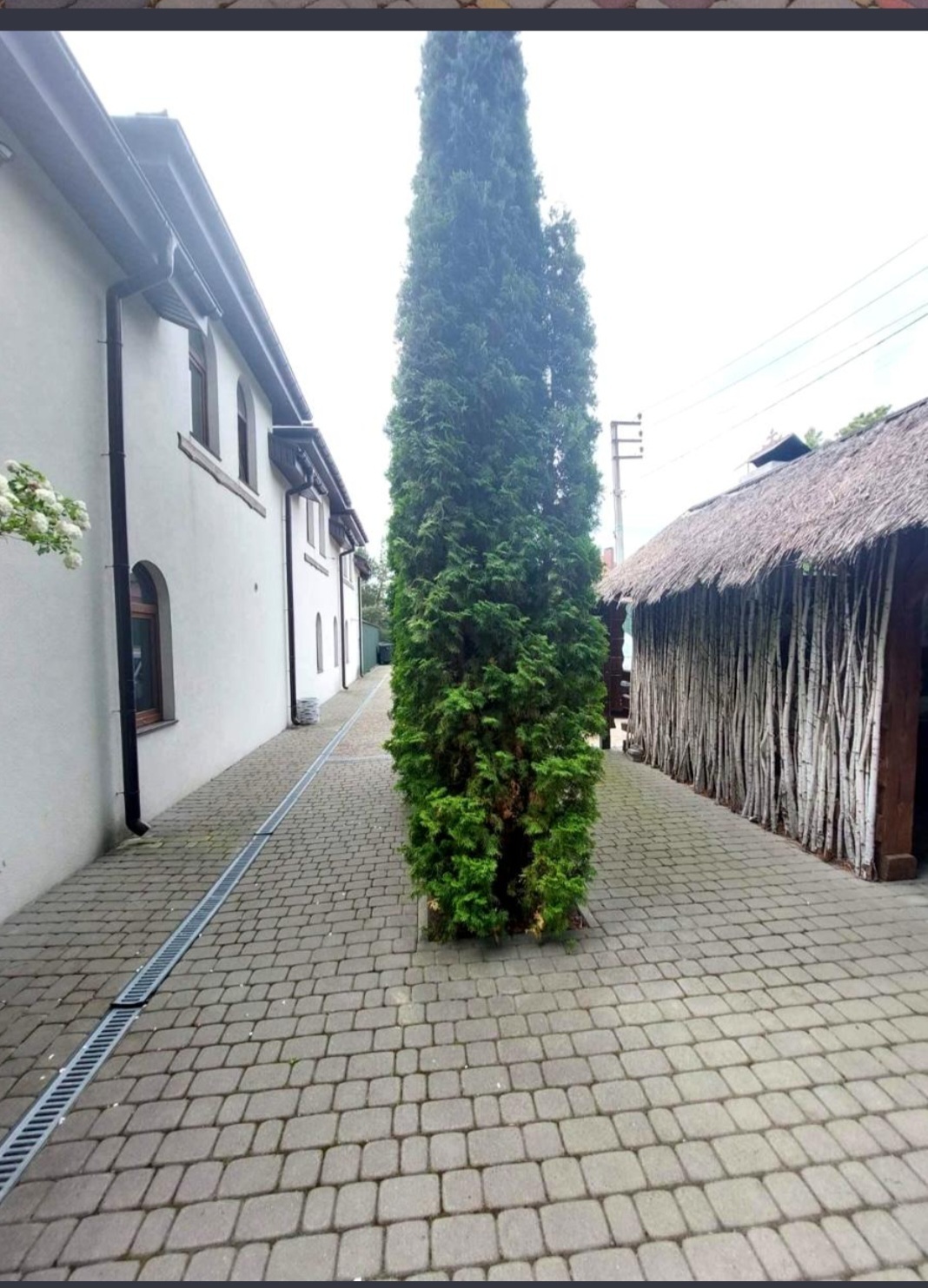 Продажа дома 485 м²
