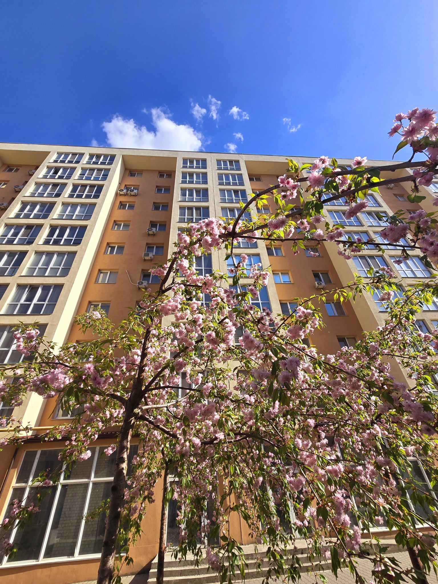 Продажа 1-комнатной квартиры 39.6 м², ЖК Софиевская сфера, ДОМ 26/14