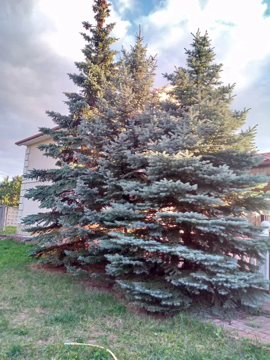 Аренда дома 150 м², Охотничья ул.