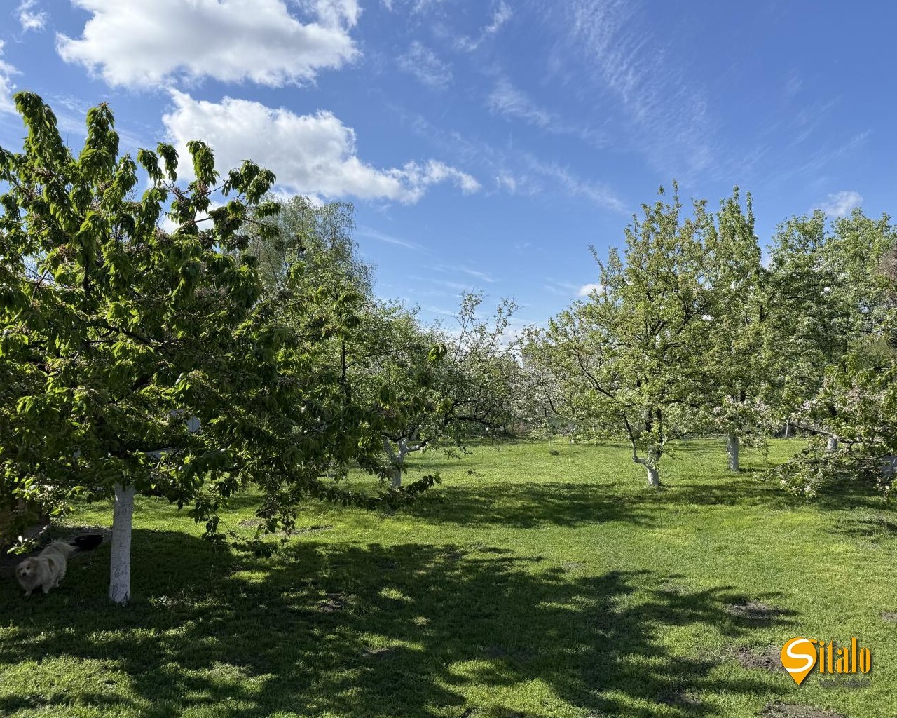 Продажа дома 320 м², Луговая (Бортничи) ул.